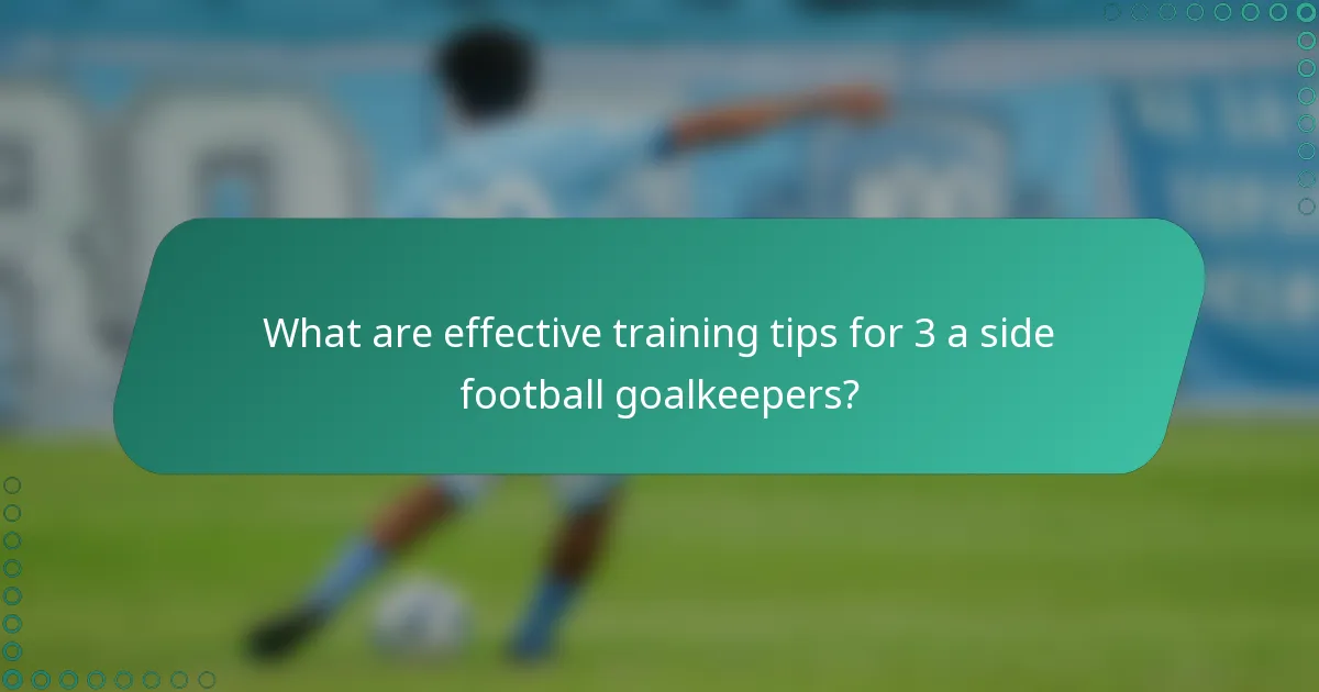 What are effective training tips for 3 a side football goalkeepers?