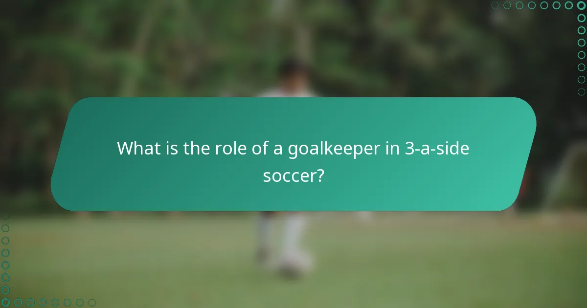 What is the role of a goalkeeper in 3-a-side soccer?